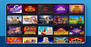 pisowin96 player wins showcase featuring slots and sportsbook results